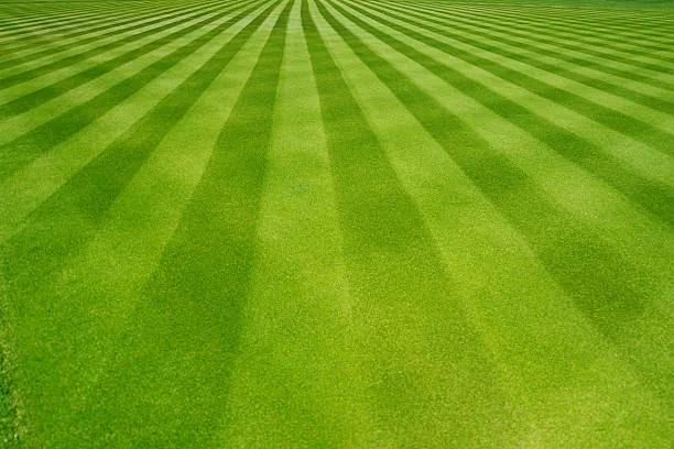 Lawn Mowing detail