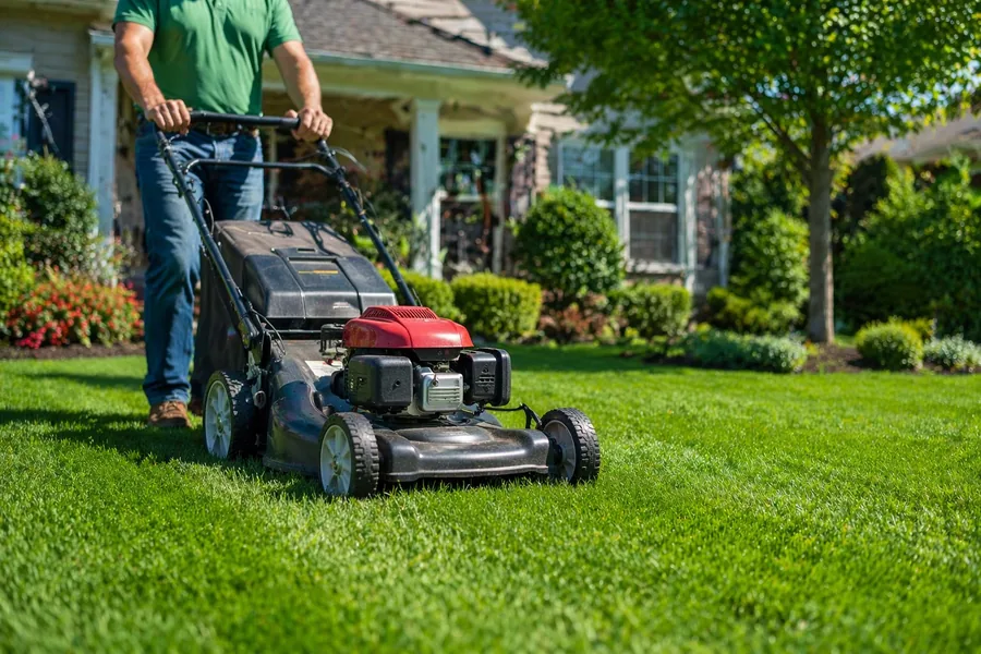 Trimming